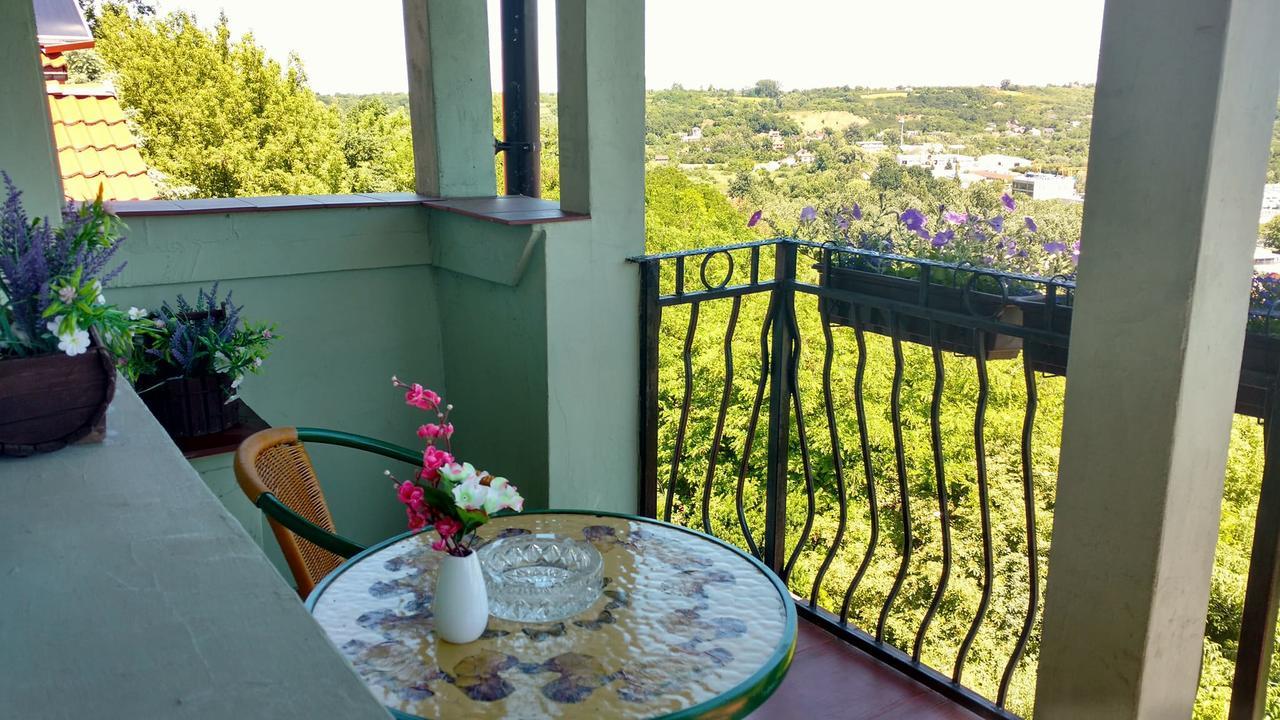 Zielone Wzgorze Na Starowce Apartment Sandomierz Ngoại thất bức ảnh